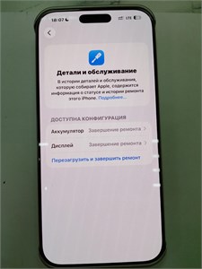 APPLE IPHONE 16 PRO MAX 256GB 890000673474