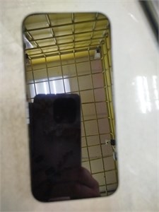 APPLE IPHONE 16 PRO MAX 256GB 890000691514