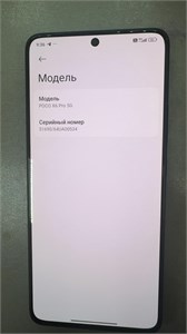 Xiaomi POCO X6 Pro 5G 12/512 890000721644