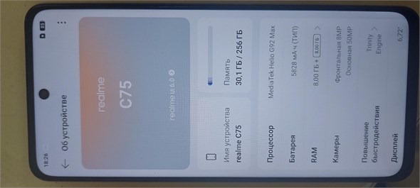 Realme C75 8/256 890000756025