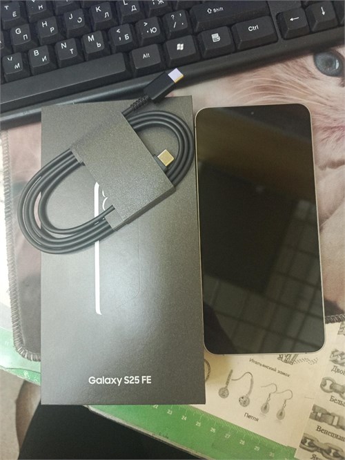 Samsung Galaxy S25 FE 8/256 ГБ 890000671958