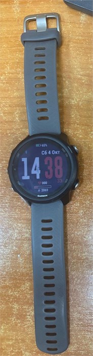 Спортивные часы Garmin Forerunner 245 890000656077