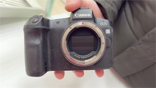 Canon EOS R Body 890000681559