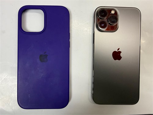 Apple Iphone 13 Pro Max 128 GB 890000708964