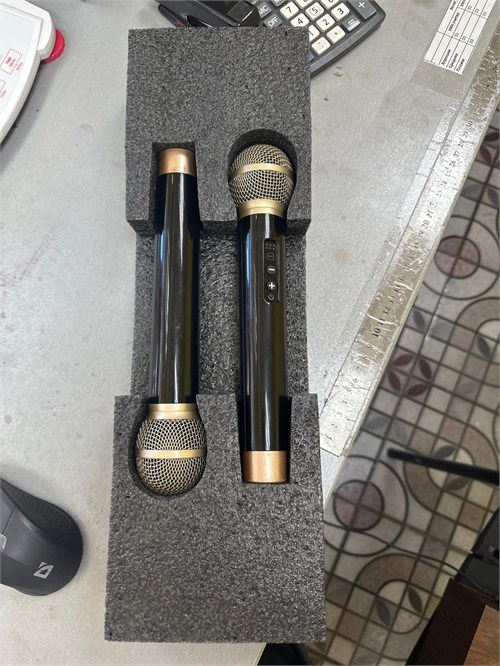 Портативная караоке система Bluetooth Peterhot Karaoke Speaker + 2 беспроводных микрофона 890000752710