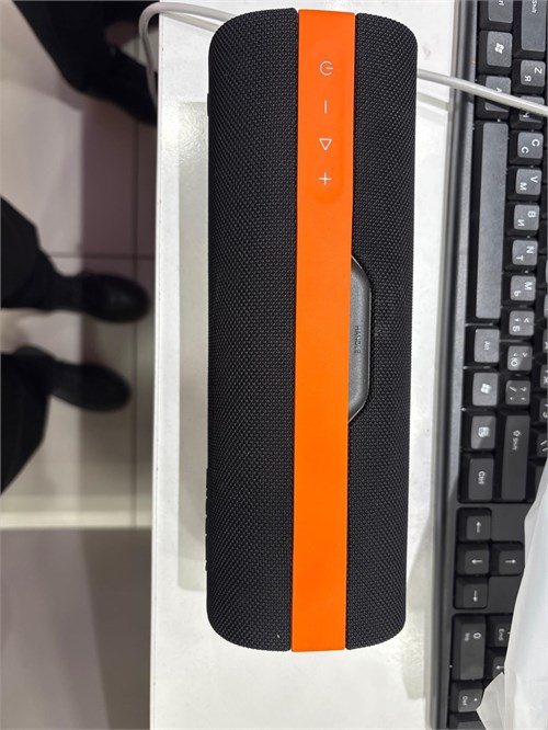 Портативная колонка Xiaomi Sound Party 890000755799