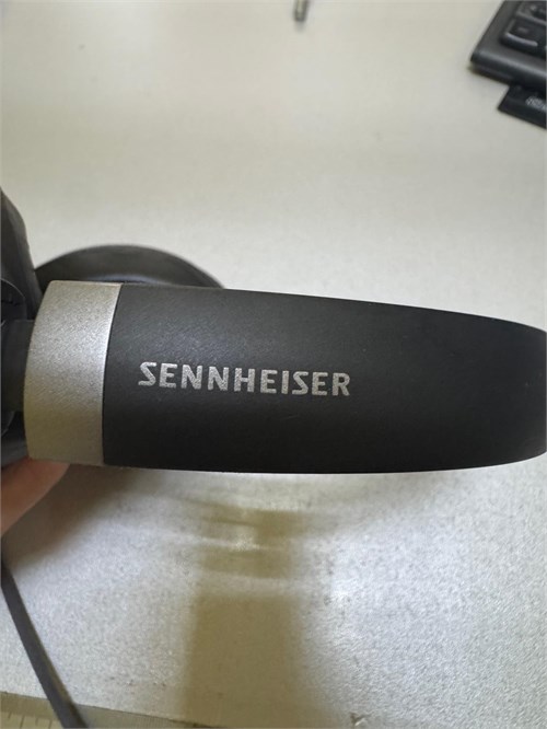 Наушники SENNHEISER HD 450BT 890000770395