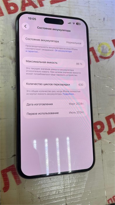 Apple 256 ГБ 890000758719