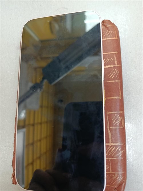 Iphone 13 890000776096
