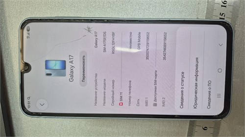 Samsung Galaxy A17 890000778066