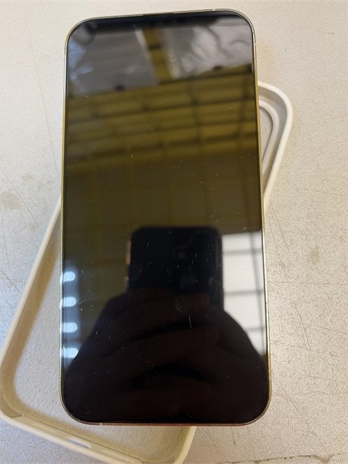Apple iPhone 13 Pro Max 128 890000781561