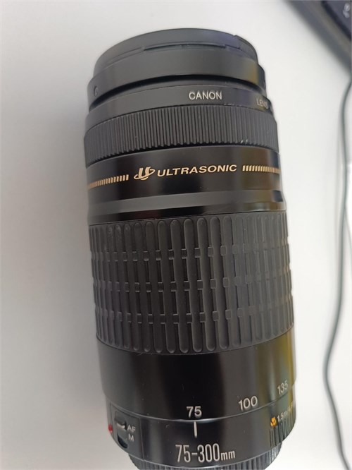 Объектив Canon EF 75-300mm f/4-5.6 III 890000523792 - фото 770893