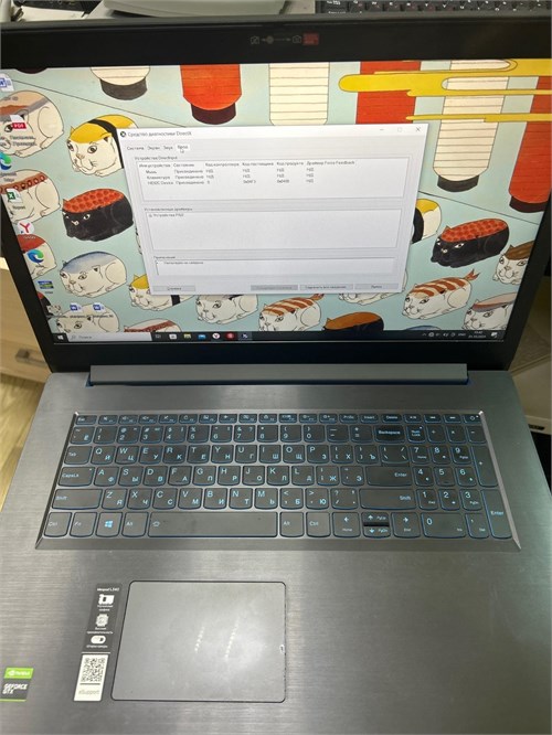 Игровой ноутбук Lenovo L340-17IRH (i5 9300HF GTX 1650) 890000530469 - фото 812498