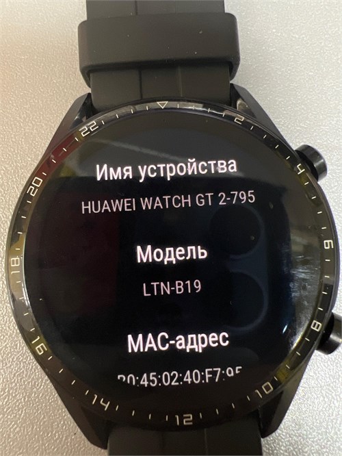 Смарт-часы HUAWEI WATCH GT 2 (LTN-B19) 890000555341 - фото 822034