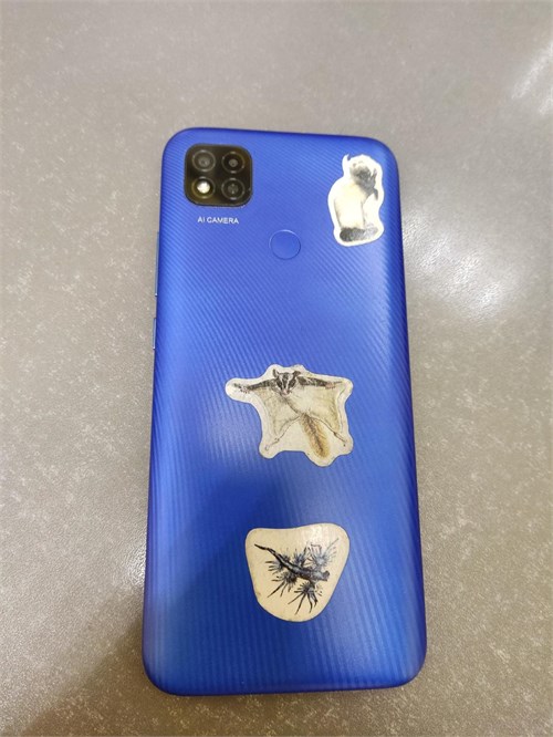 Xiaomi Redmi 9C NFC 3/64 890000558474 - фото 832568
