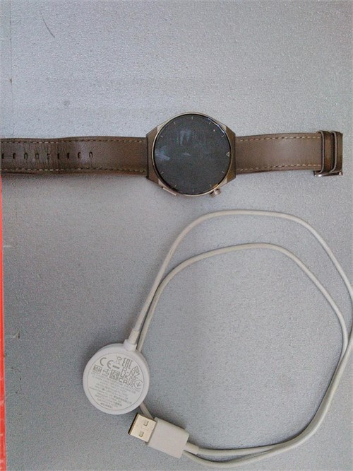 Смарт-часы HUAWEI WATCH GT 3 Pro 890000582425 - фото 870641