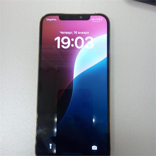 APPLE IPHONE 12 PRO MAX 256 ГБ 890000567355 - фото 880295