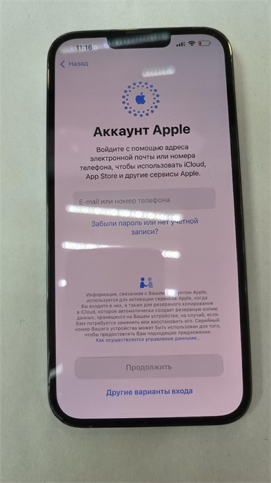 Apple iPhone 13 Pro Max 256 890000591943 - фото 882256