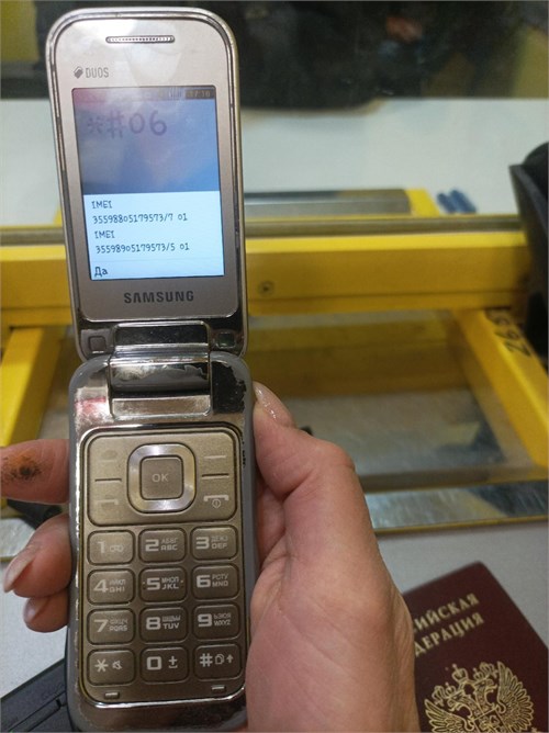 SAMSUNG GT-C3592 890000593358 - фото 886553