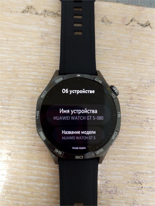 Умные часы HUAWEI WATCH GT 5 890000599704 - фото 900237
