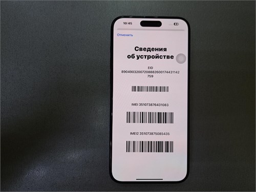 APPLE IPHONE 15 PRO MAX 256 ГБ 890000566382