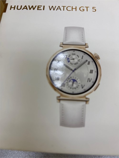 Смарт-часы Huawei Watch GT 5 41mm (JNA-B19) 890000644689