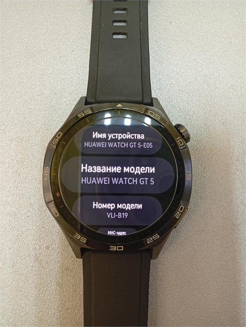 Умные часы HUAWEI WATCH GT 5 (VLI-B19) 46mm 890000647686