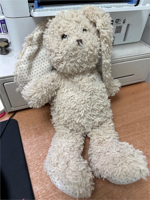 ИГРУШКА КРОЛИК 890000648031