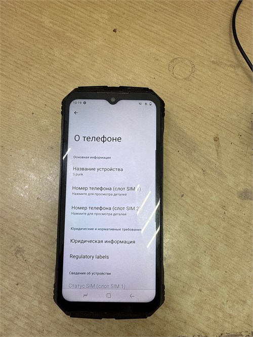 Смартфон Doogee S punk 6/256 ГБ 890000656547