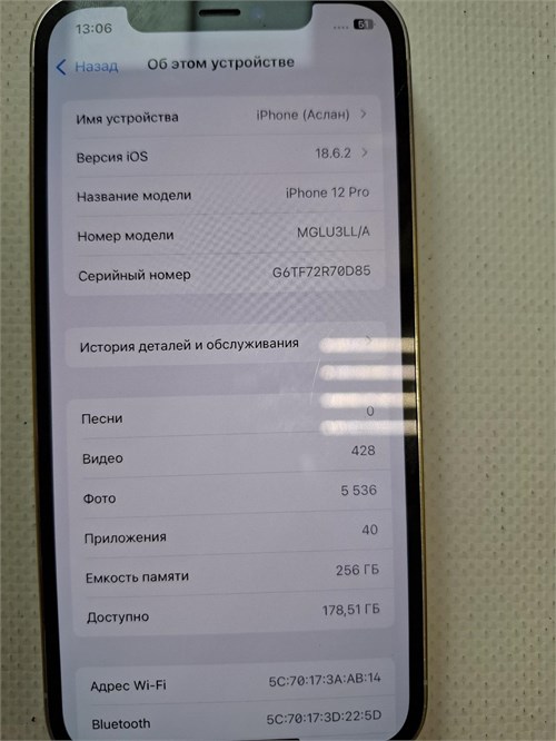 APPLE IPHONE 12 PRO 256GB 890000644717