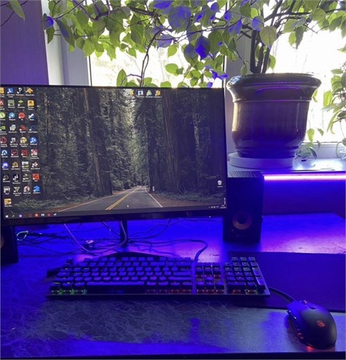 23.8" Монитор Xiaomi Mi Desktop Monitor 1С 890000659612