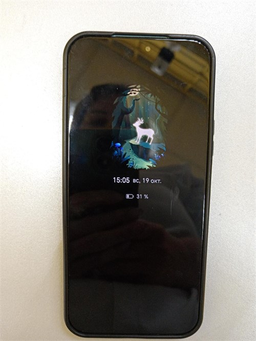 HONOR 200 LITE 8/256 ГБ 890000660501