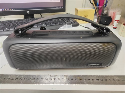 Портативная колонка Hyundai H-PS1020 890000663065