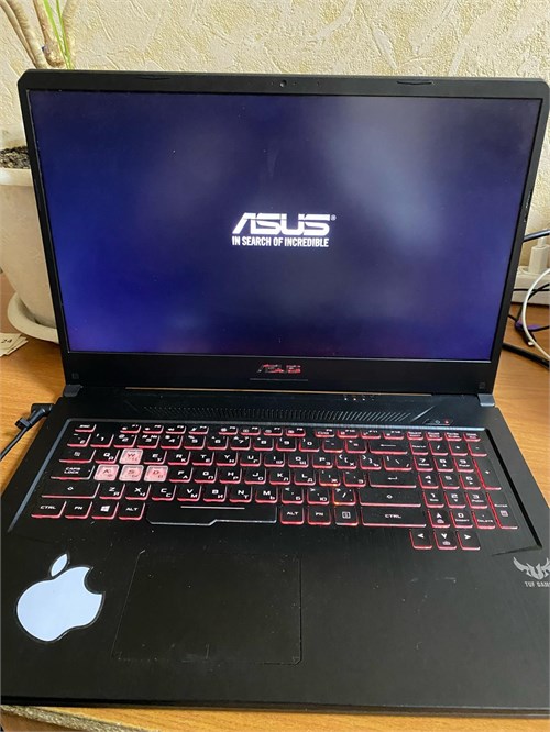 Ноутбук ASUS TUF Gaming FX705DD (Ryzen 5 3550H GTX 1050) 890000607438