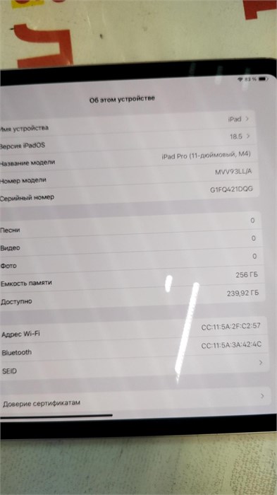 Apple iPad Pro 11-inch (M4) WIFI 256GB 890000655033