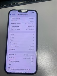 APPLE IPHONE 13 PRO MAX 256 ГБ 890000670846