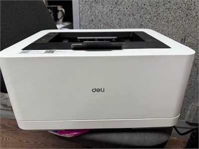Принтер лазерный Deli Laser P2000DNW 890000667662