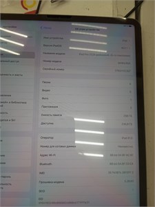 Apple iPad Pro 12.9 (2021) 256 890000660209