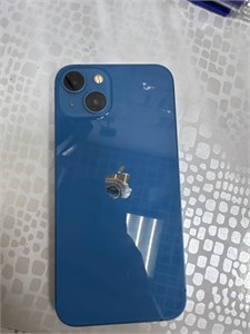 APPLE IPHONE 13 128 ГБ 890000610589