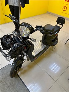 GICIN SK8 890000670354