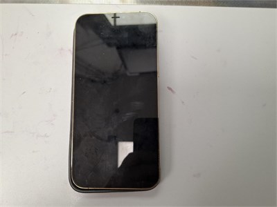 APPLE IPHONE 12 PRO MAX 256GB 890000677553