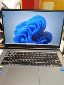 Ноутбук THUNDEROBOT 911 PLUS PRO (i5 12450H RTX 3060) 890000668229