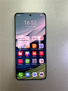 HUAWEI Mate 60 12/512 890000671924