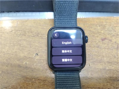 Apple Watch SE (2nd gen, GPS) Alum 44MM 890000679234