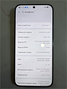 HUAWEI PURA 80 12/256 ГБ 890000680222