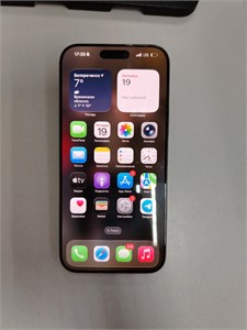 APPLE IPHONE 16 PRO MAX 256 ГБ 890000679790