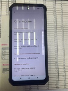 Oukitel WP19 PRO 8/256 ГБ 890000682367