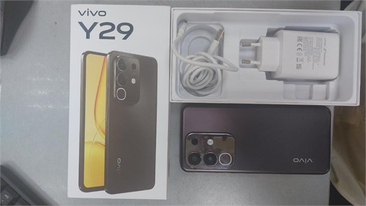 VIVO Y29 8/256 ГБ 890000681921