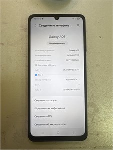 SAMSUNG GALAXY A06 4/128 ГБ 890000680340