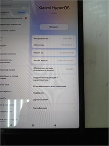XIAOMI REDMI PAD 2 4/128 ГБ 890000685440